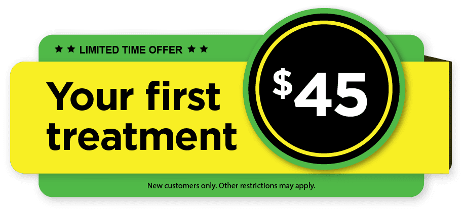 mosquito joe first treatment coupon